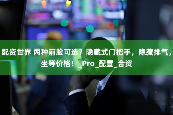 配资世界 两种前脸可选？隐藏式门把手，隐藏排气，坐等价格！_Pro_配置_合资
