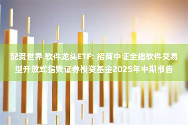 配资世界 软件龙头ETF: 招商中证全指软件交易型开放式指数证券投资基金2025年中期报告