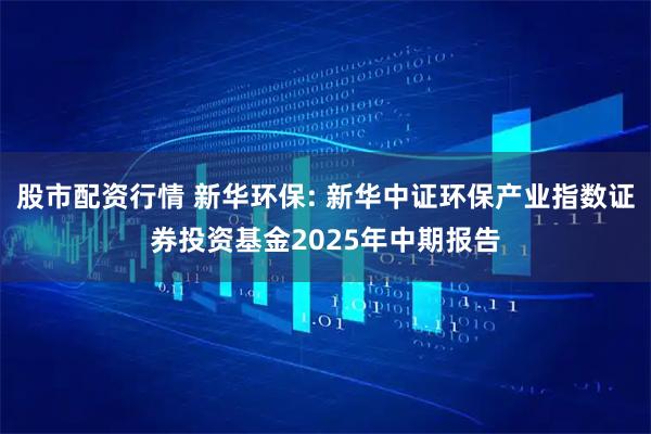 股市配资行情 新华环保: 新华中证环保产业指数证券投资基金2025年中期报告